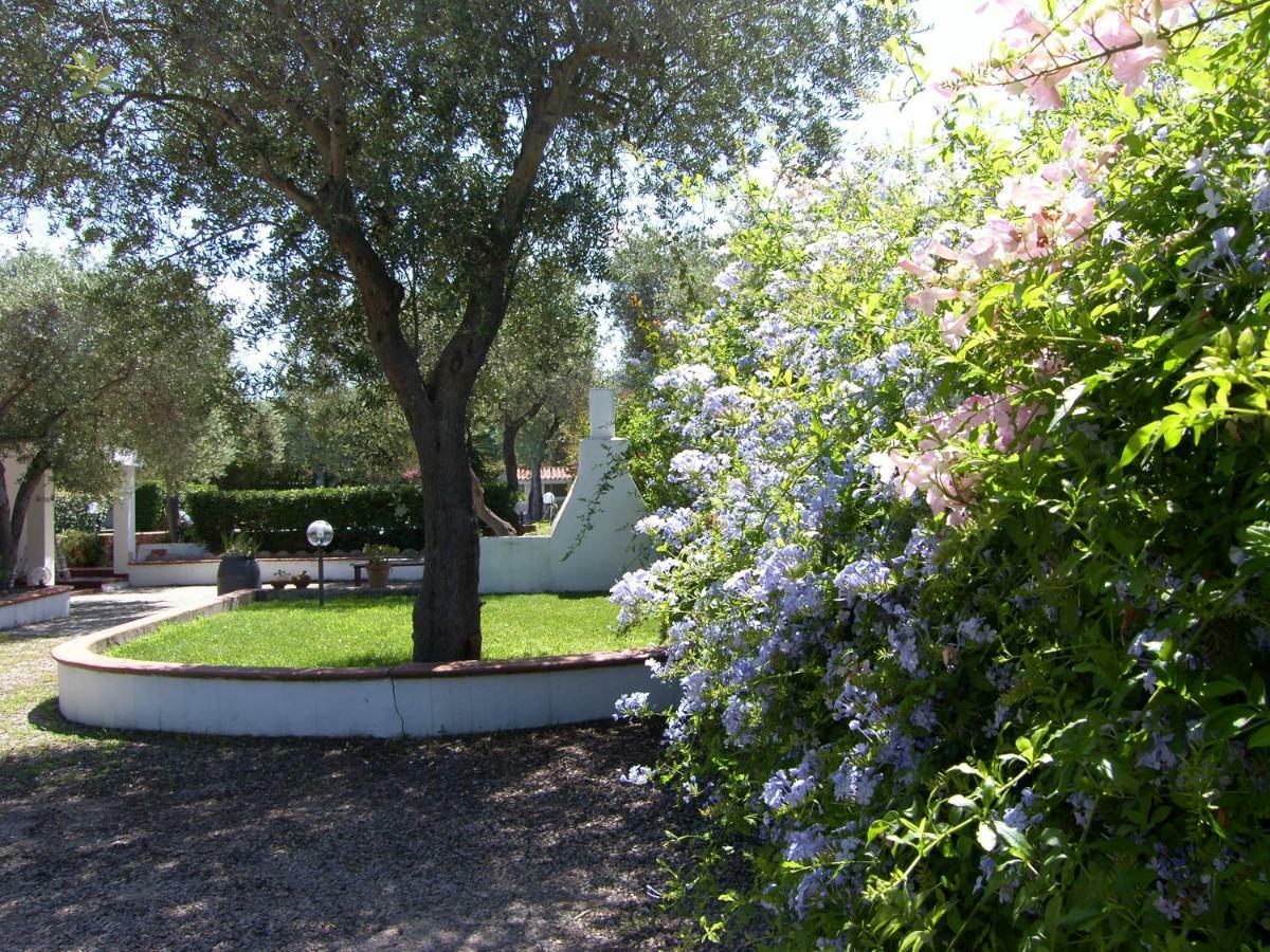 Villa Sarda Sorso Dış mekan fotoğraf